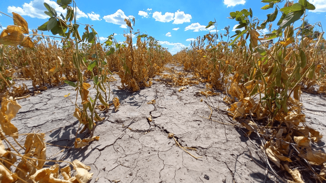 La provincia abrió la reinscripción para productores con certificado de emergencia agropecuaria afectados por la sequía