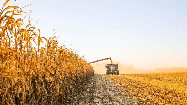 Fuerte malestar del campo santafesino por el paso atrás con las retenciones: «Muchos productores se están fundiendo»