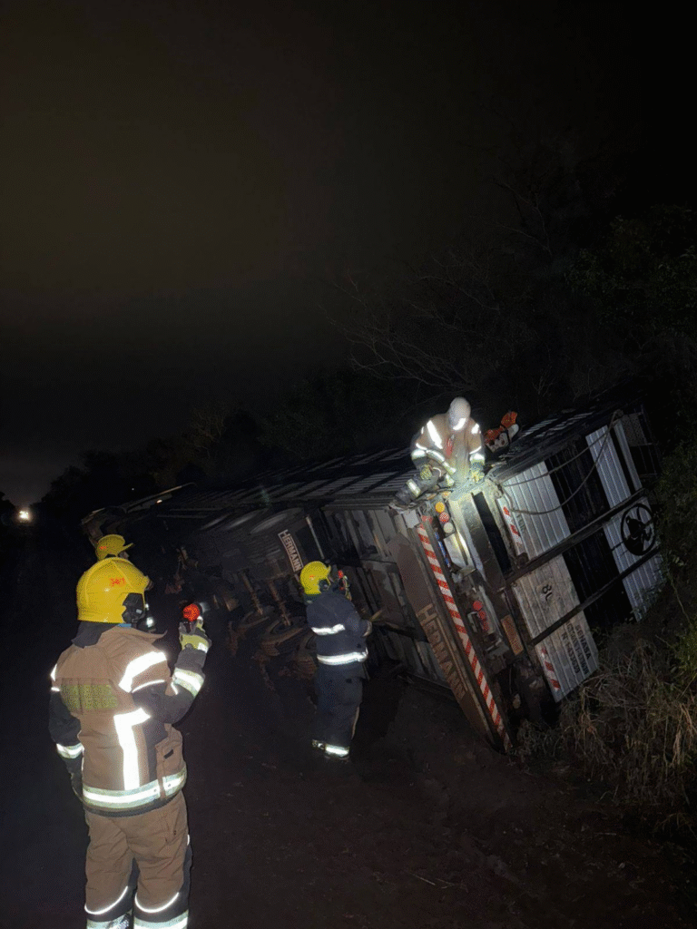 Morteros: Gran mortandad de animales tras el vuelco de un camión jaula