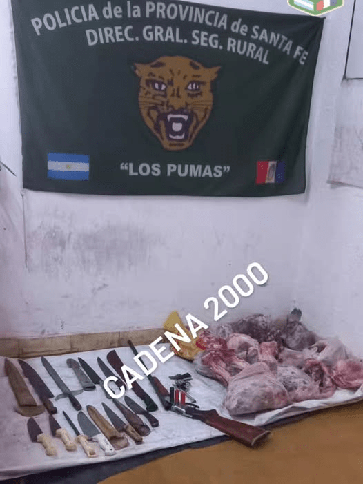 Los Pumas” De Ceres esclarecieron un hecho de abigeato