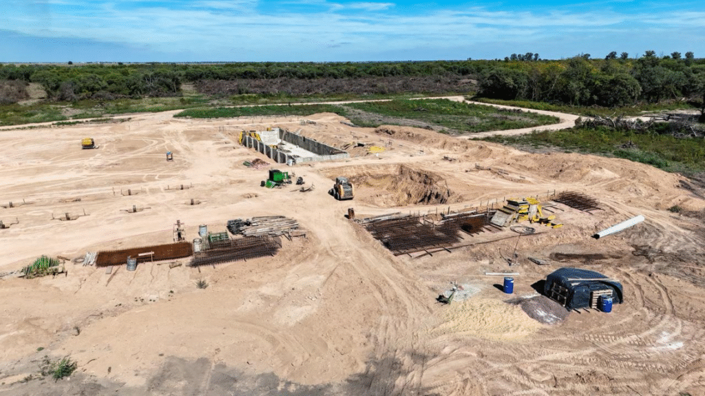 Provincia intervino para que cese el desmonte de un bosque nativo en el departamento 9 de Julio