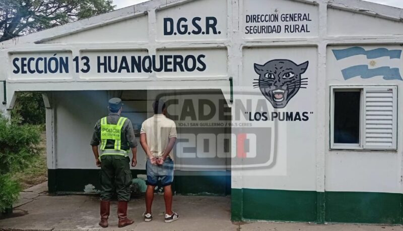 “Los Pumas” esclarecen un hecho de Abigeato.  –