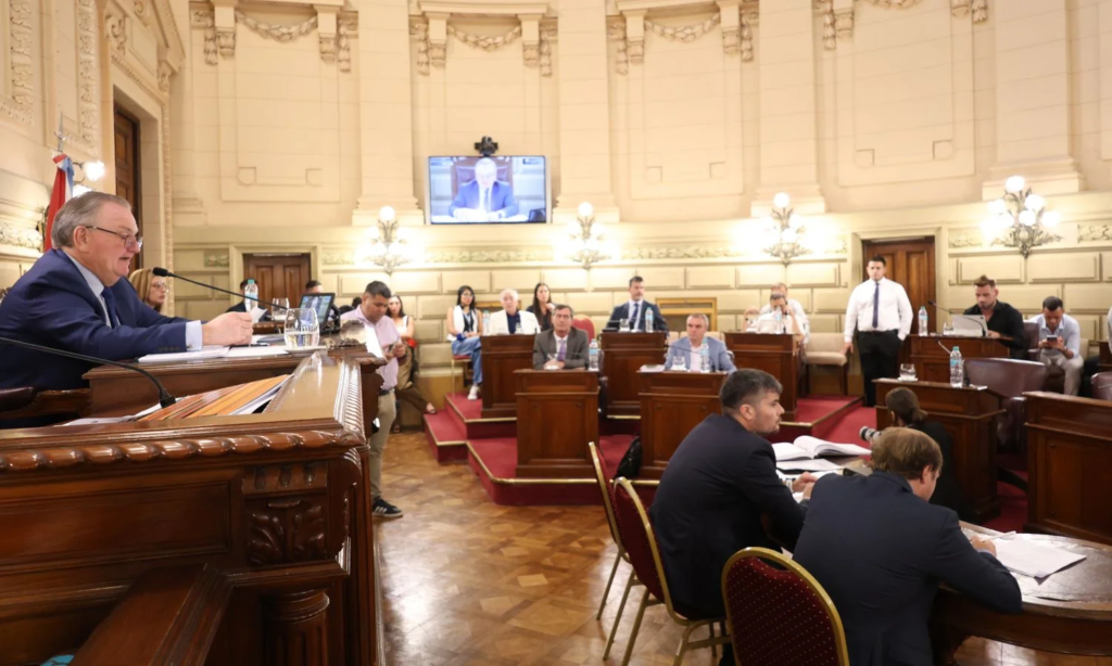 Michlig destacó la sanción de importantes leyes en el senado “a partir del diálogo y elevado consenso político”