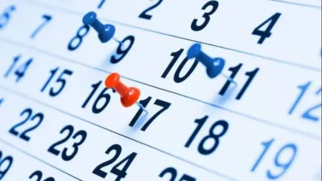 Cuáles son los feriados de marzo y cuándo llega el próximo fin de semana largo