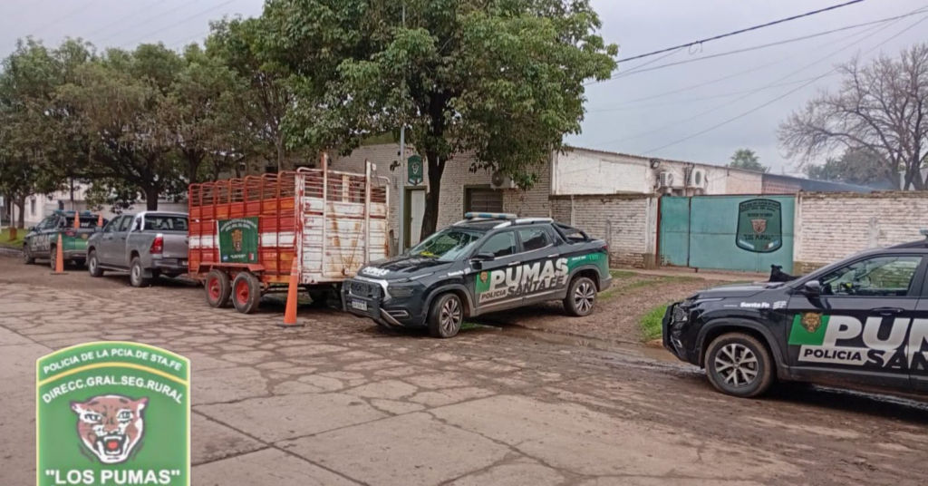 CERES: LOS PUMAS ESCLARECIERON UN IMPORTANTE CASO DE ABIGEATO CALIFICADO