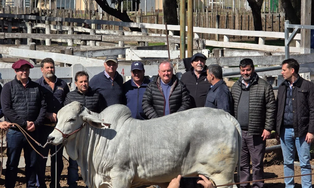 El senador Michlig destacó en la ExpoTotal 2026 «el potencial del interior productivo».